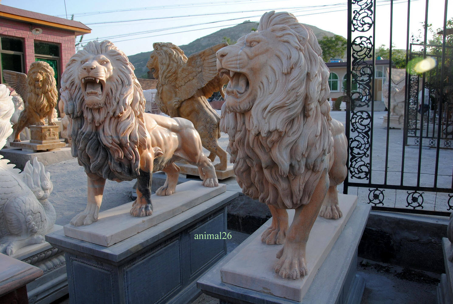 Lions Statues Carved Marble Lion Statues Hand 